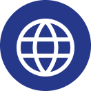 Globe icon